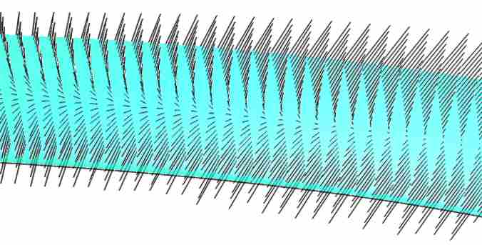 Spiral Bevel gear tooth sliding.